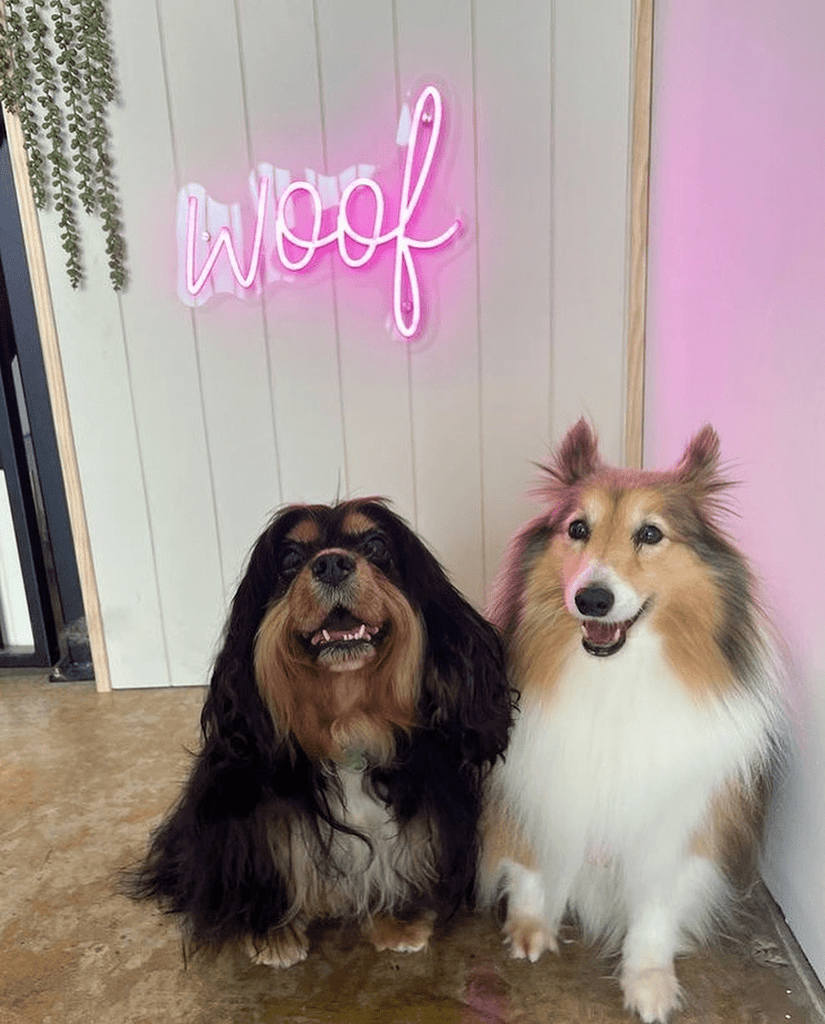 Light Up Your Celebration With The Most Creative And Fun Party Neon Signs!